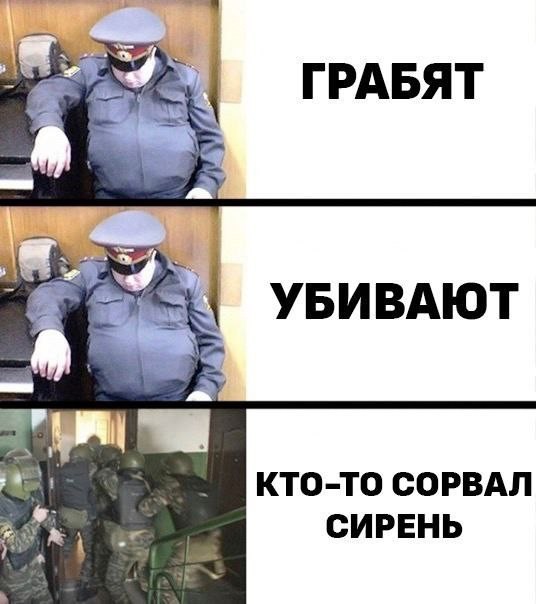 В Госдуме предложили ввести уголовное наказание за порчу клумб или сорванную сирень