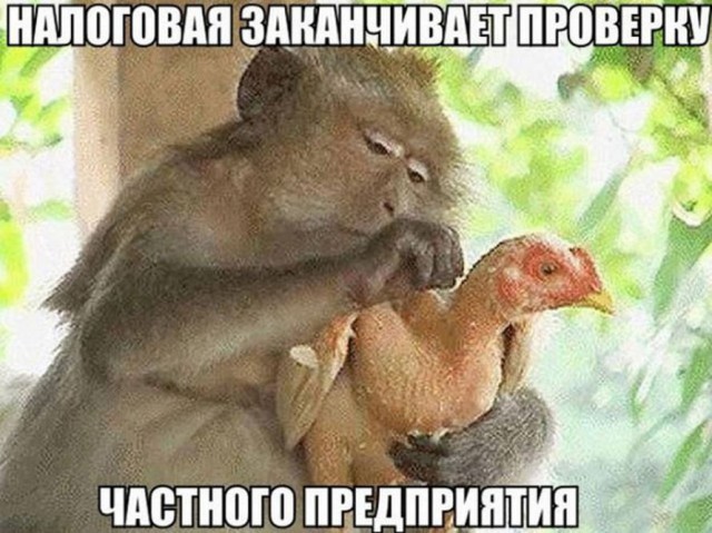 Всего понемногу. От 25.02.24