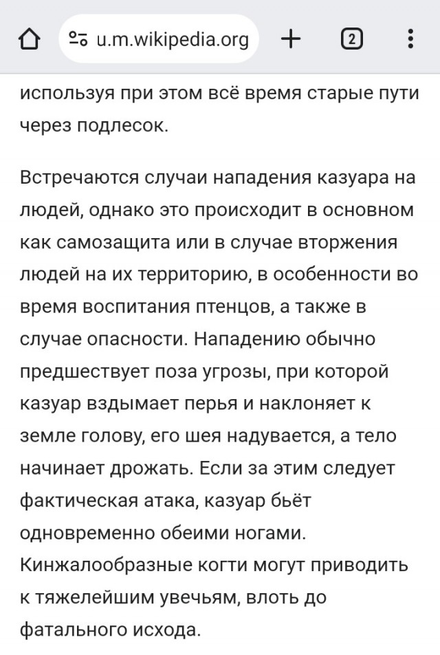 Пикник в Австралии. И это им ещё +- вежливый курёнок попался