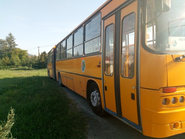 Просто ламповые фото Ikarus, разные
