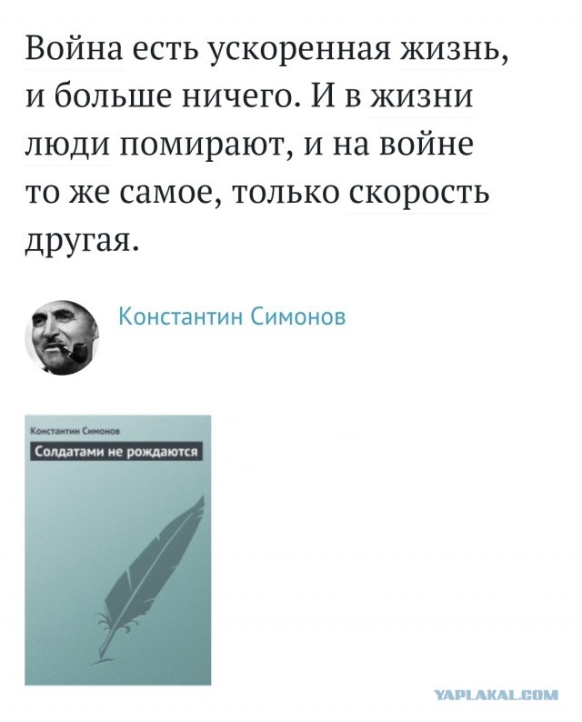 Убитый солдат ВСУ оставил русским послание на магазине автомата