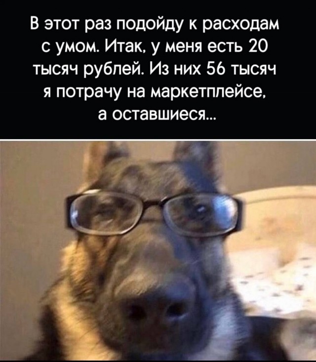 Выходите на первой же остановке