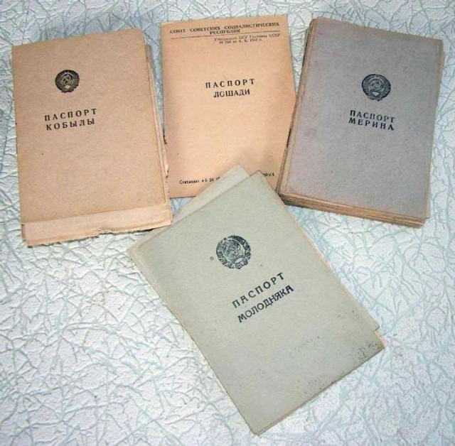 Фотографии из прошлого нашей страны – 75