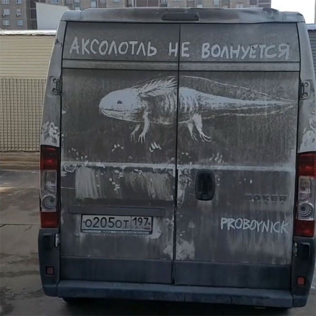 Грязь на фургонах