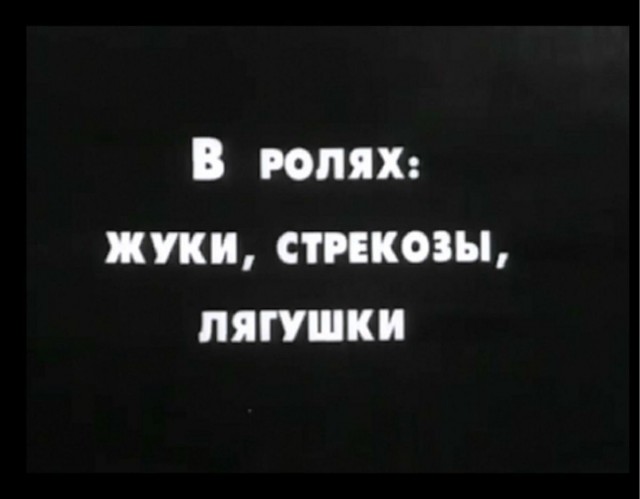 Прикольные и просто красивые картинки 10.01.2025