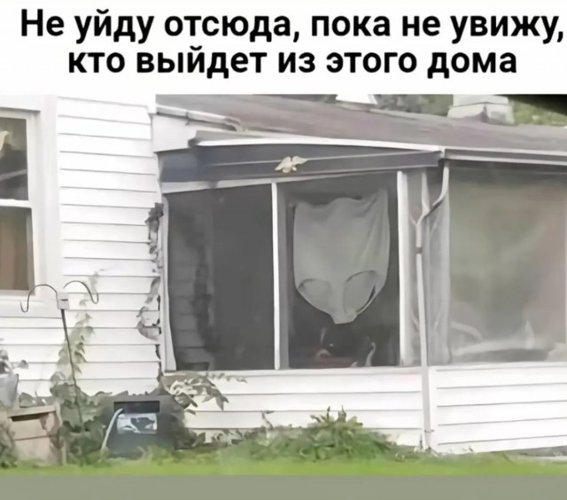 Завалялось тут случайно немного забавных картинок