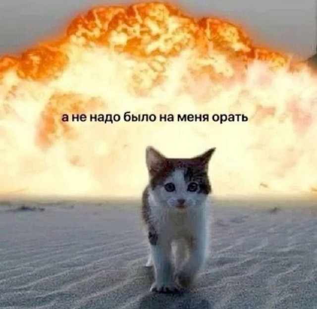 Так себе картинки 05.08.25
