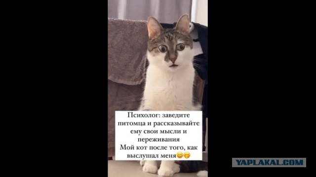 На его месте вы тоже были