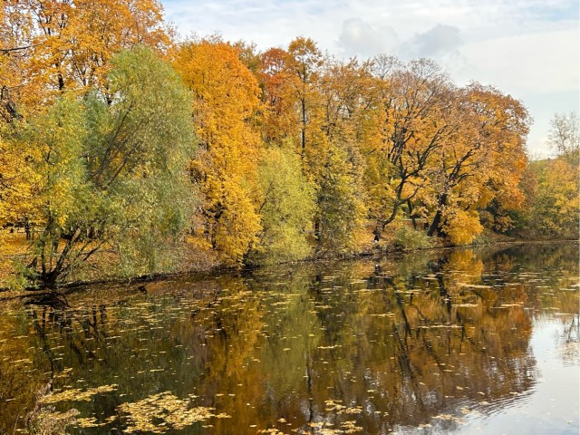 Вот и осень к нам пришла