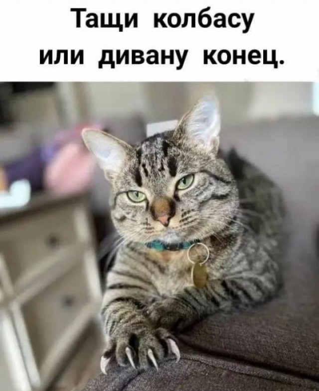 Вторник. Немного картинок