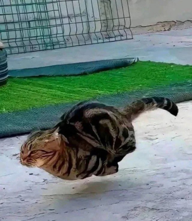 «Л» - Левитация