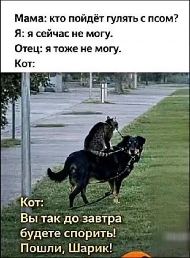 Так себе картинки 13.06.26