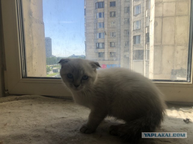 Пополнение