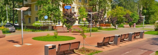 Как я аллею с портретами зверей городу подарил. История одного благоустройства