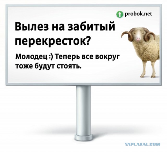 Водителей-хамов будут высмеивать плакатами