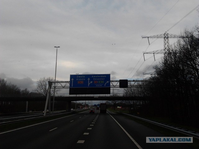 Где яблоки растут!