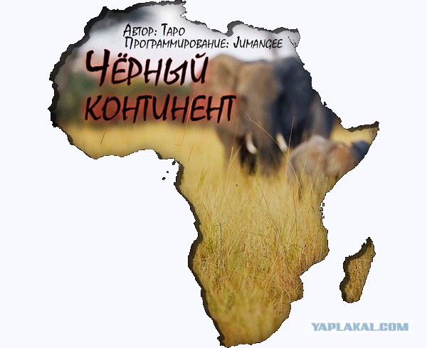 Черный волк