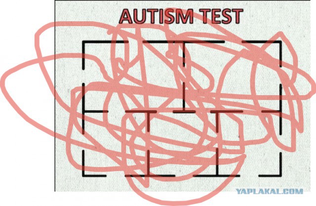 Autism test