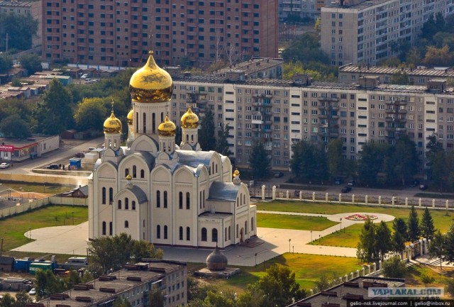 Когда деревья были большими