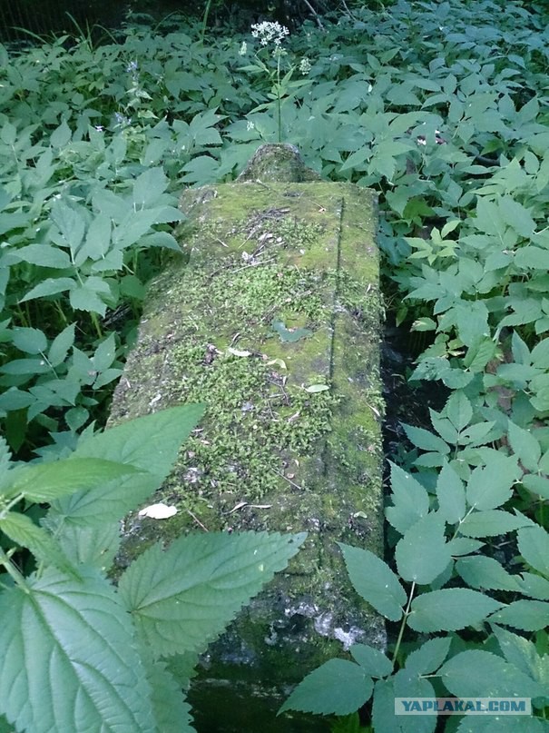 А на кладбище тишина....