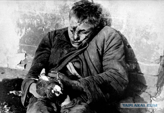 Расстрелы
