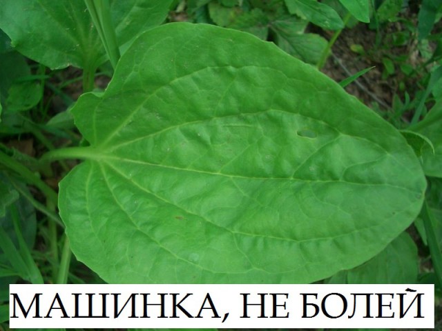 Каким образом ремонтируют колесо которое стоит 30.000$