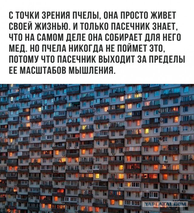 Скажем "Нет!" зомбированию WiFi-лучами!