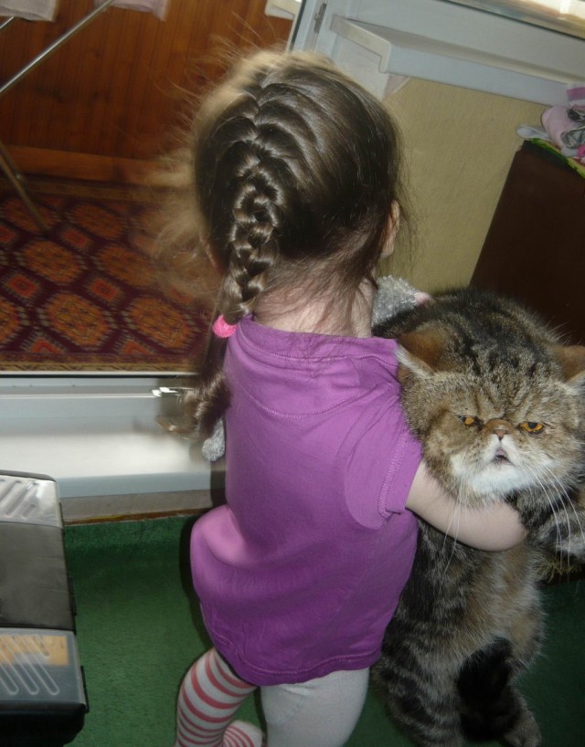 Прикольных котов пост