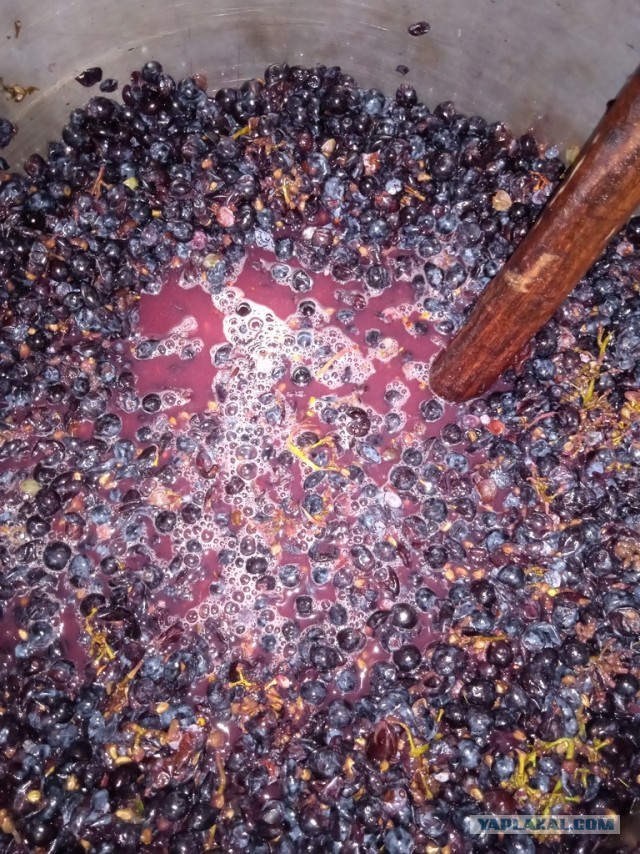 Вино. Виноделие. Молдова