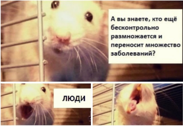 Опять 25! 26.12.2020