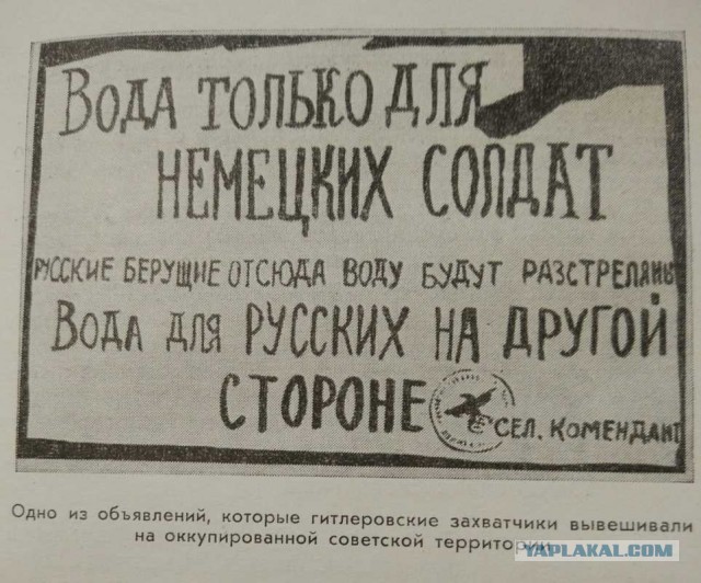 Пили Бы Баварское Кто Автор