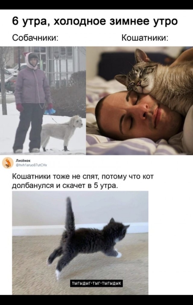 Картинки 09.01.21