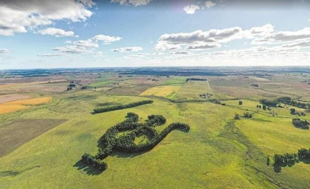 Картинки и мемы для настроения 28.07.2021