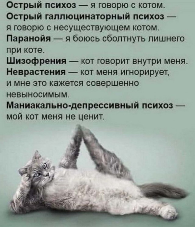 Картинки и мемы для настроения - 10
