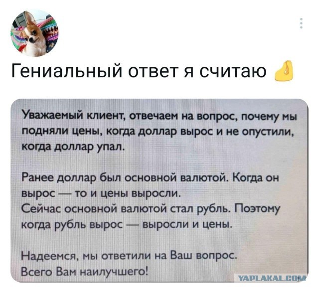 ЦБ вернулся к закупкам валюты для удержания рубля от неконтролируемого укрепления