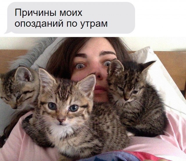 Картинки и мемы из Сети 24.07.22