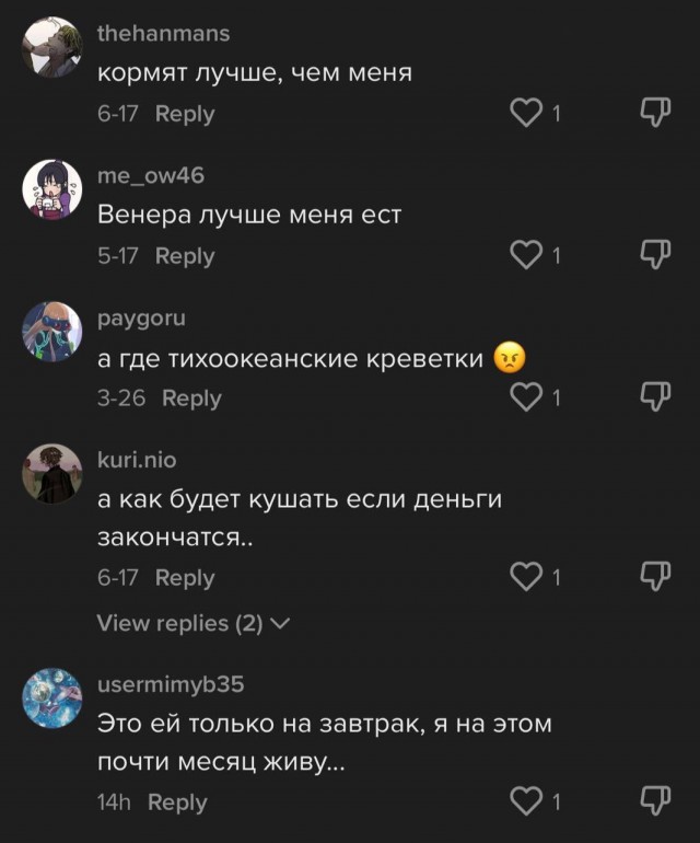 Хозяйка добермана показала обычный рацион своей собаки