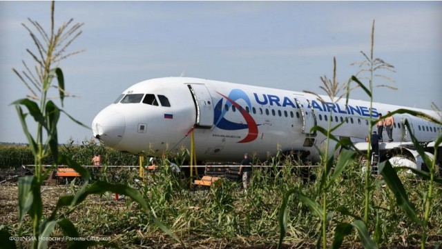 Итоги расследования посадки самолета «Уральских авиалиний» на кукурузное поле