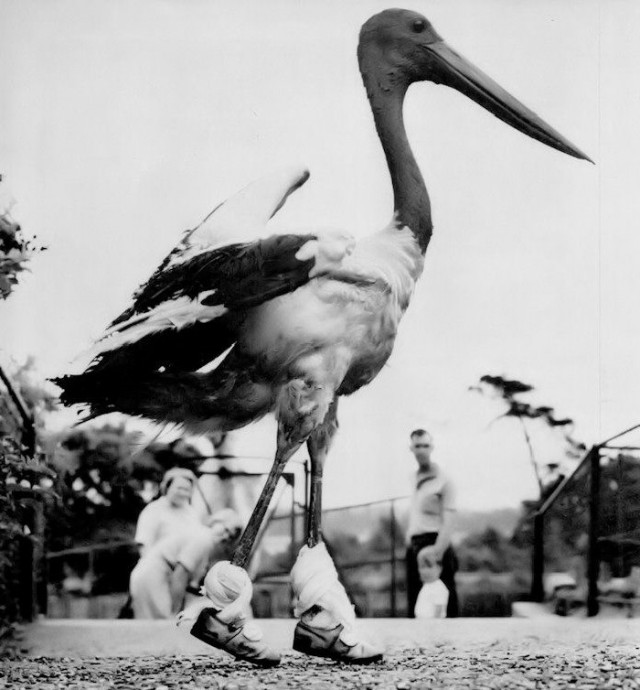 Просто старые фото - №LVIII. Чёрно-белый мир