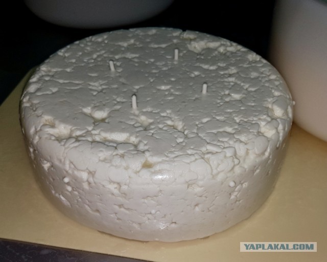 Сыр Маасдам