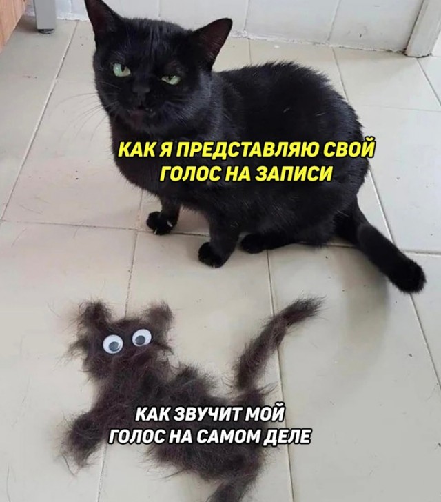 Картинки и мемы, всяко разно - 171
