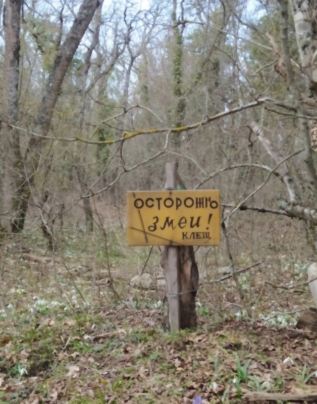Так себе картинки 14.05.23