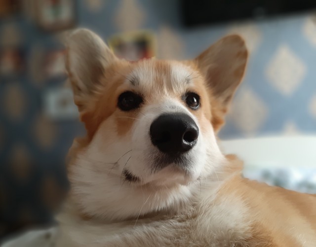 8 лет не виделись