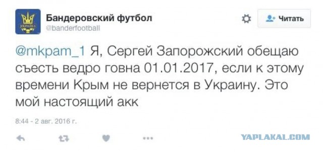 Зеленский сообщил, что достиг с Нидерландами договоренности о поставке 42 истребителей F-16 Украине