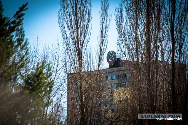 Репортаж из зоны отчуждения: