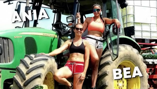 Уборка помидор из Италии