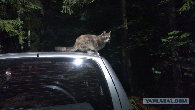 Сборник рассказов ЯПовских авторов. Обсуждение проблемы.