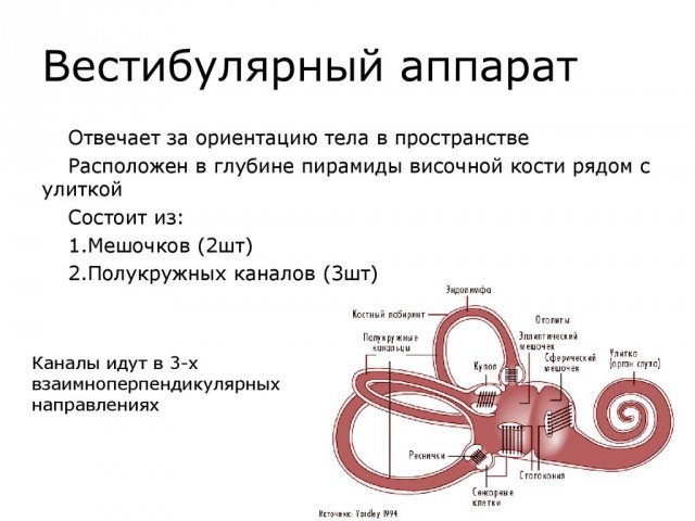 Возможно всё!
