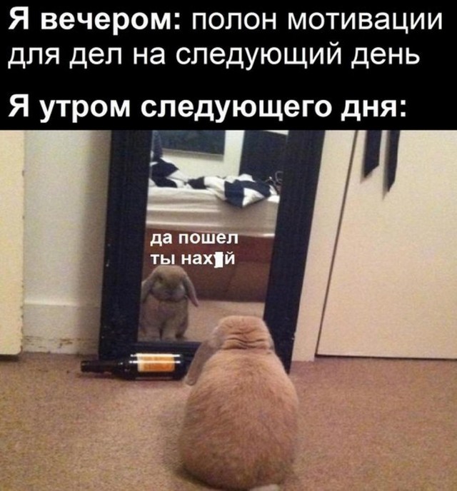 Веселые картинки (02.07)