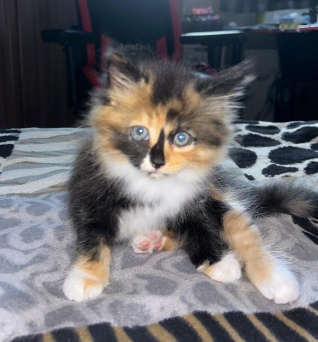 Счастья много не бывает!